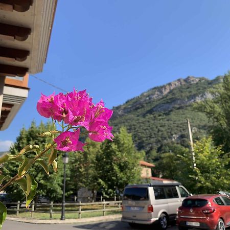 Cumbres De Los Picos Apartamento Los Abedules Poo  Экстерьер фото