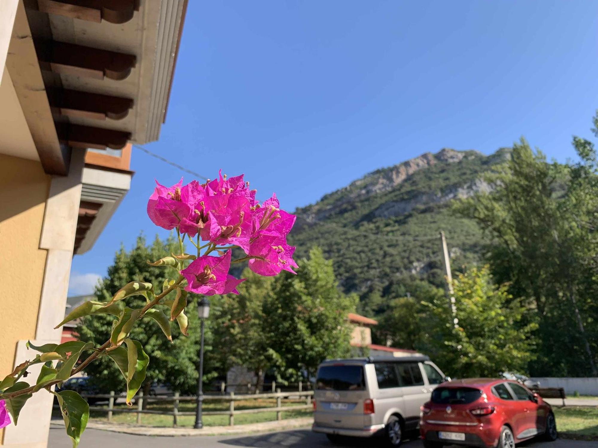 Cumbres De Los Picos Apartamento Los Abedules Poo  Экстерьер фото
